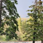 Appletree Campground