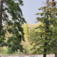 Appletree Campground ico