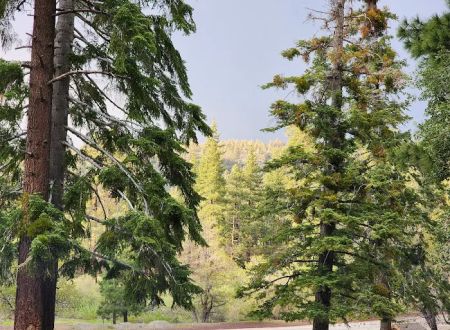 Appletree Campground