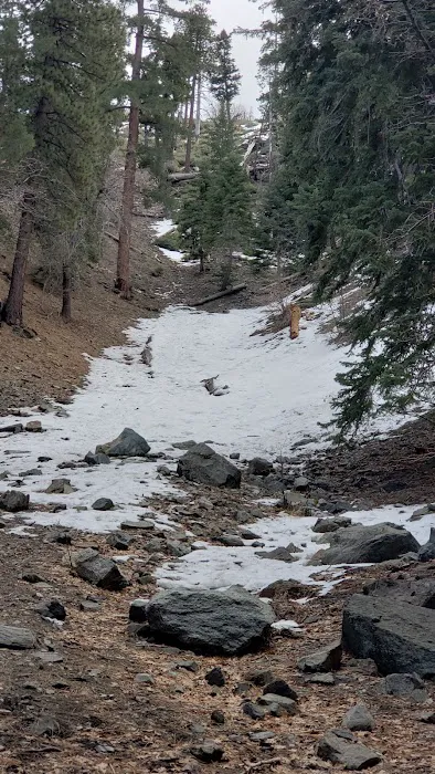 Appletree Campground Picture 5
