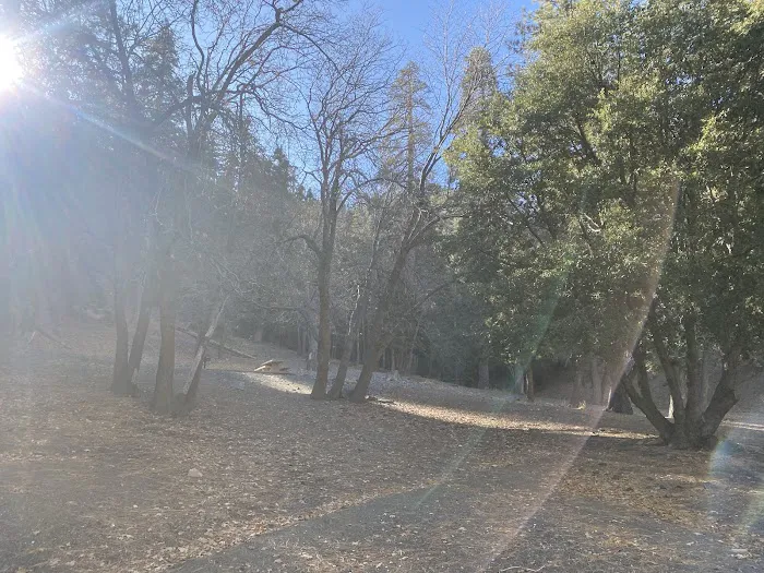 Appletree Campground Picture 6