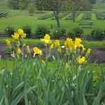 Capell Valley Estates, Inc.