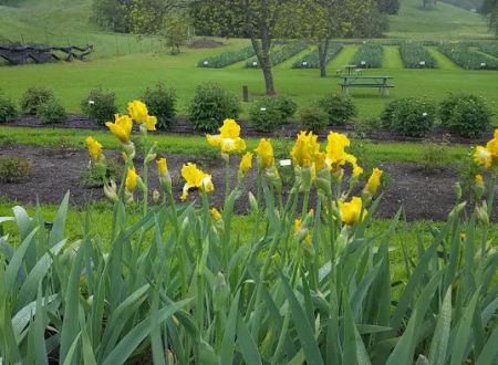 Capell Valley Estates, Inc.