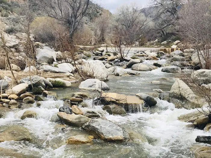 Kings Campground Picture 2