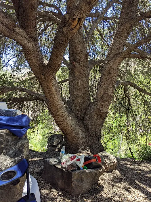 Kings Campground Picture 5