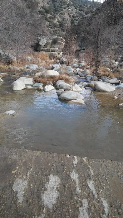 Cottonwood Campground Picture 5