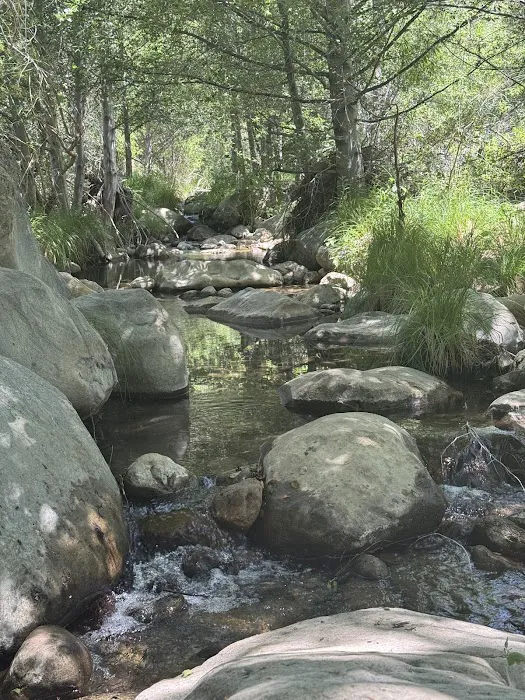 Piedra Blanca Camp Picture 3