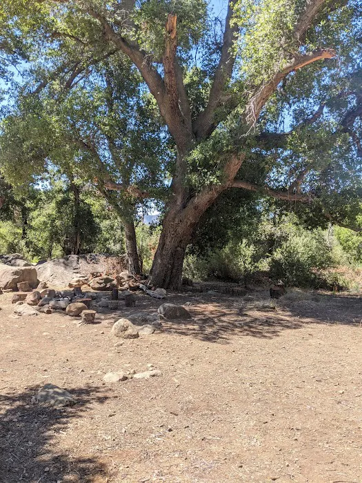 Piedra Blanca Camp Picture 1
