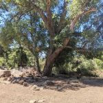 Piedra Blanca Camp
