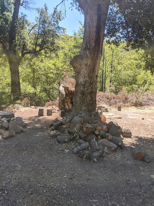 Piedra Blanca Camp Picture 7