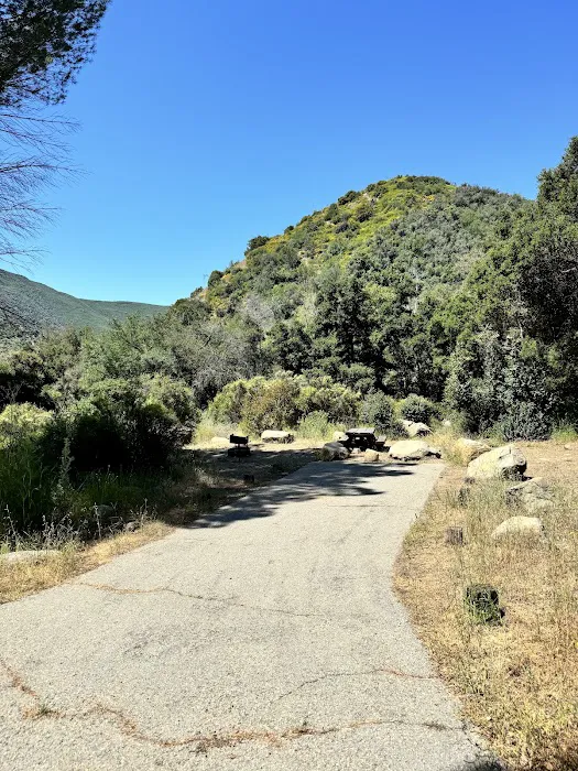 Wheeler Gorge Campground Picture 5