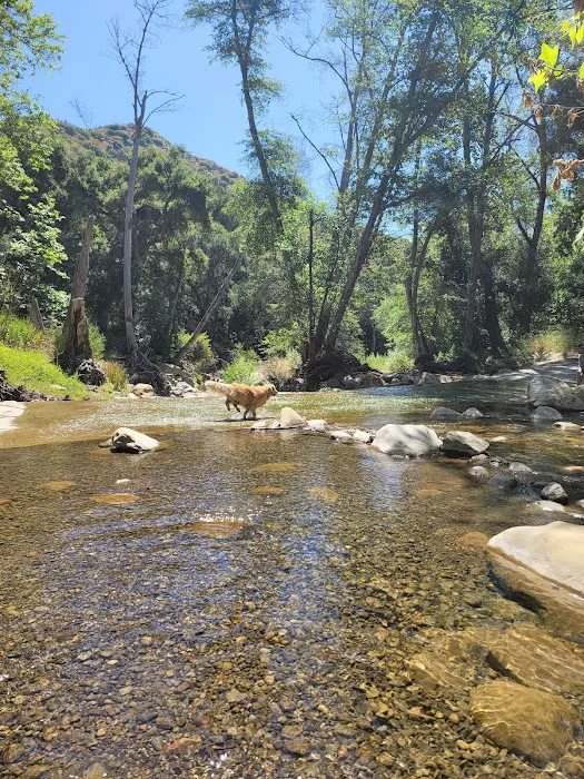 Wheeler Gorge Campground Picture 8