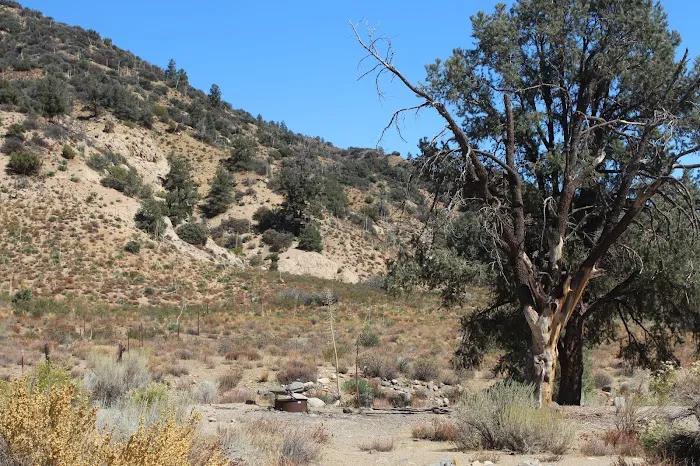 Sunset Campground, near gold mine. Picture 3