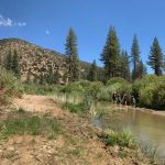 Halfmoon Campground