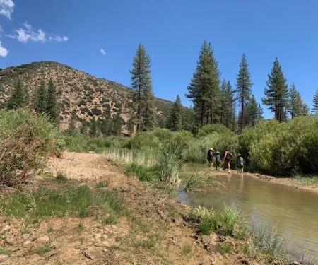 Halfmoon Campground