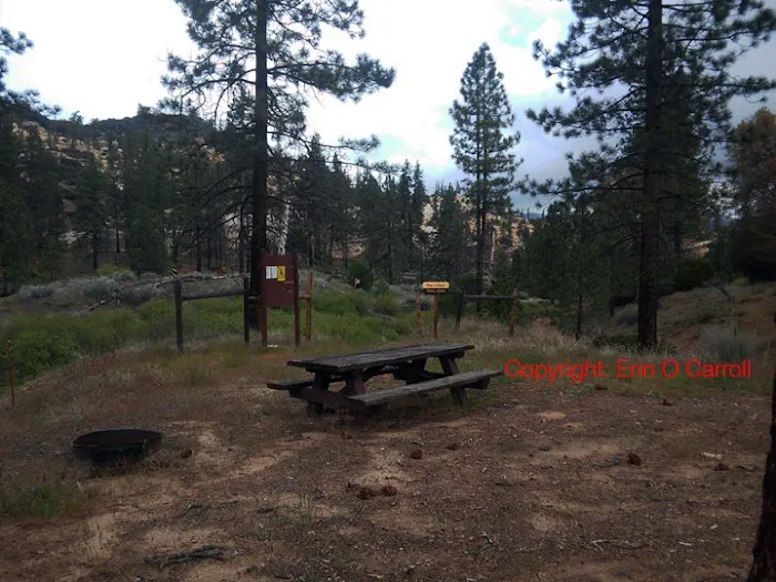 Thorn Meadows Campground Picture 1