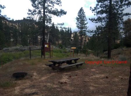 Thorn Meadows Campground
