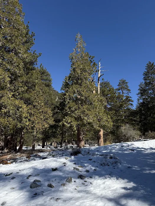 Manker Campground Picture 1