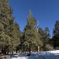 Manker Campground ico