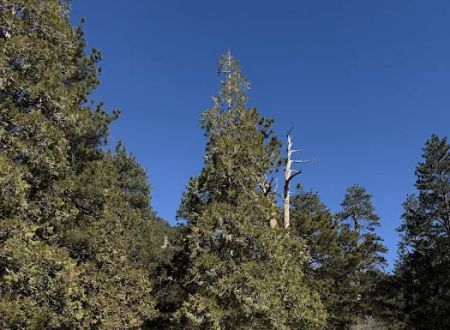 Manker Campground