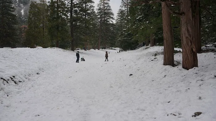 Manker Campground Picture 6