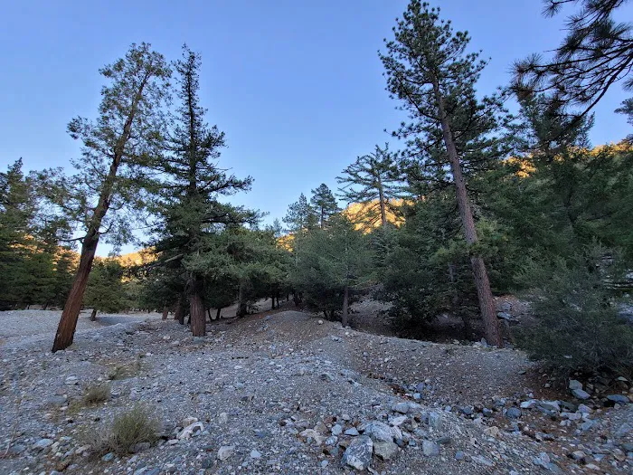 Manker Campground Picture 8