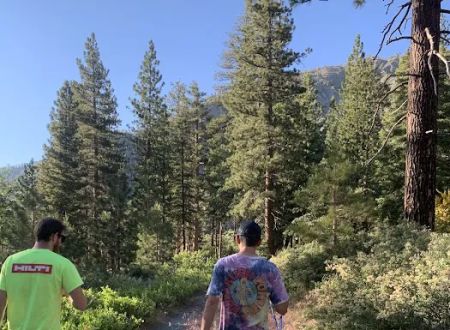 Lupine Campground