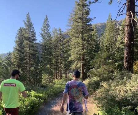 Lupine Campground