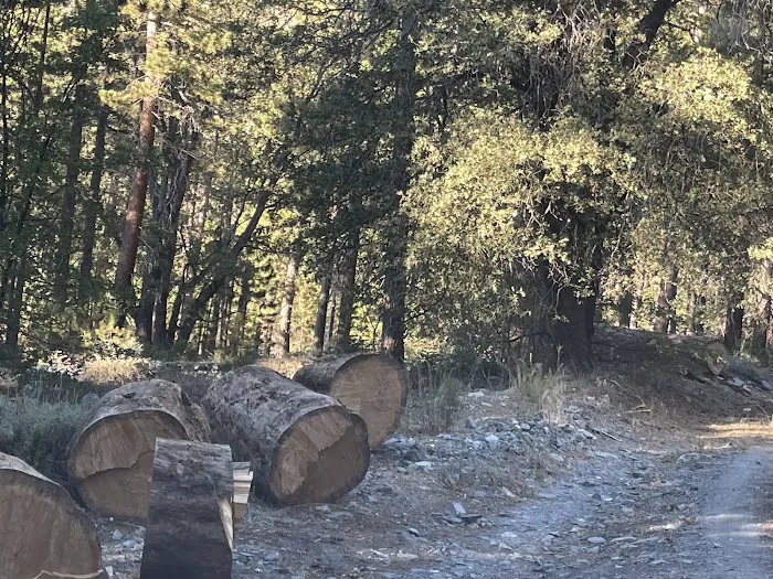 Lupine Campground Picture 5