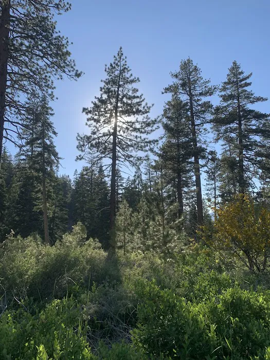 Lupine Campground Picture 9