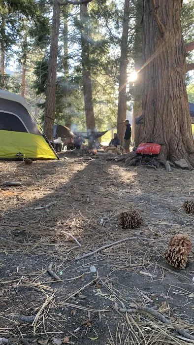 Lupine Campground Picture 10