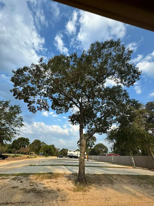 Rose Hill RV Park Picture 10