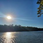 Live Oak Landing