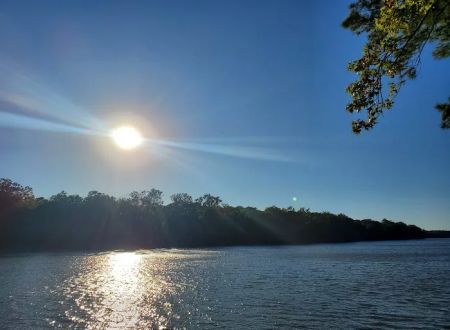 Live Oak Landing