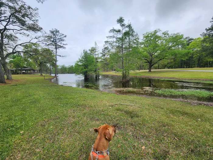 Live Oak Landing Picture 6