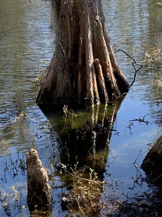Live Oak Landing Picture 9