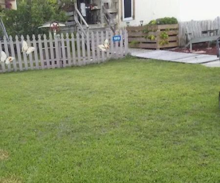 Cozy Acres Mobile Park