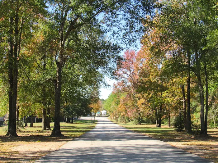Timber Ridge RV Village Picture 9