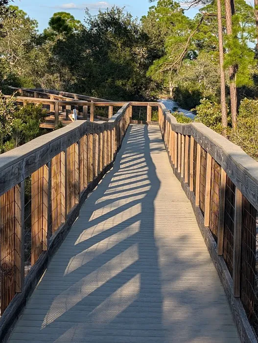 Big Lagoon State Park Campground Picture 2