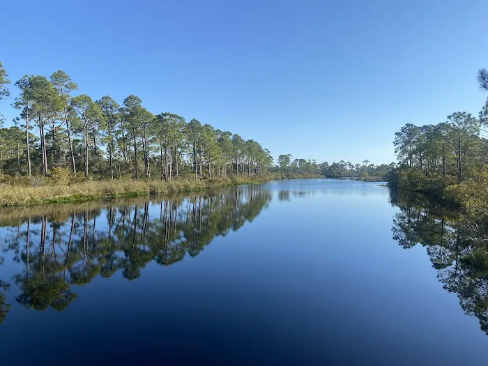Big Lagoon State Park Campground Picture 3