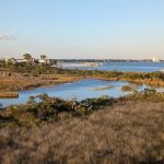 Big Lagoon State Park Campground