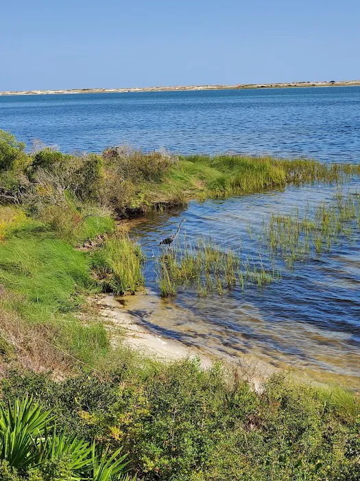 Big Lagoon State Park Campground Picture 4