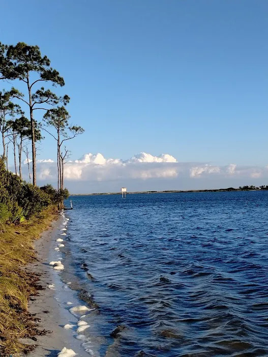 Big Lagoon State Park Campground Picture 6
