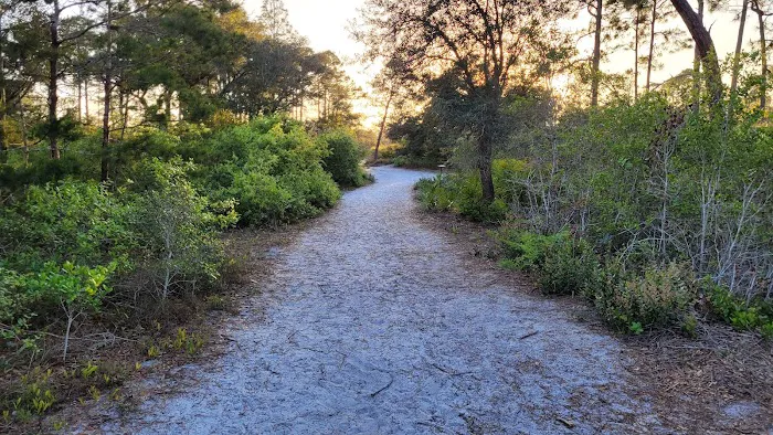 Big Lagoon State Park Campground Picture 5