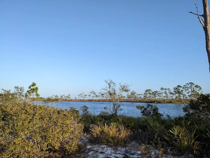 Big Lagoon State Park Campground Picture 7