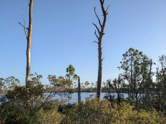 Big Lagoon State Park Campground Picture 9