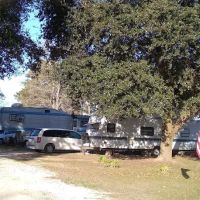 Magnolia Blossom RV Park ico