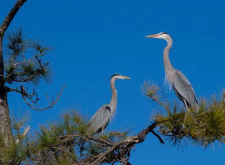 Fort Pickens Area of Gulf Island National Seashore