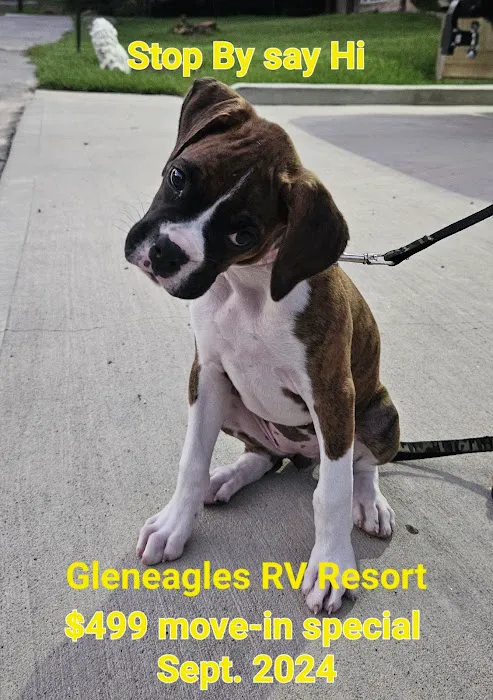 Gleneagles RV Resort Picture 8