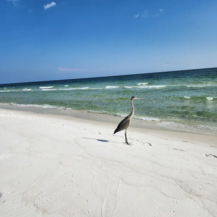 Fort Pickens Campground Loop A Picture 1